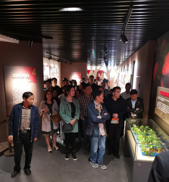 正版资料全年资料大全